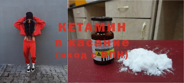 сатива Сатка