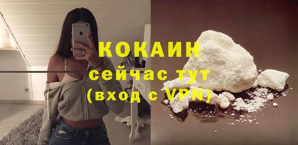 соль ск Волосово