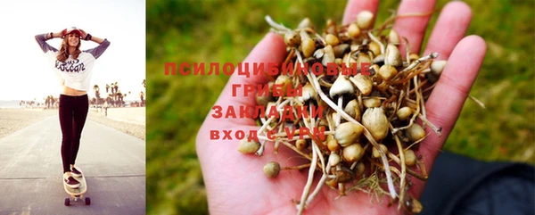 твердый Верея