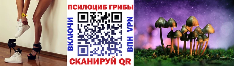 что такое наркотик  Зея  Псилоцибиновые грибы Psilocybine cubensis 